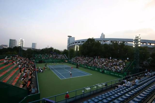 了泰国羽毛 了泰国羽毛